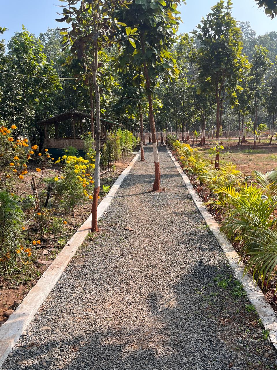 Luxury resort pool with palm trees at sunset